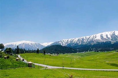 Gulmarg Meadows of flowers Mini Switzerland
