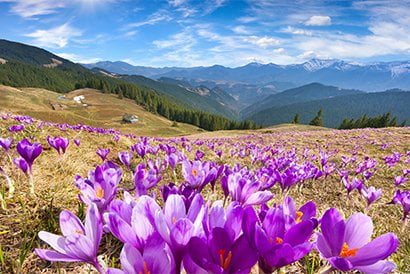 Nanda devi biosphere