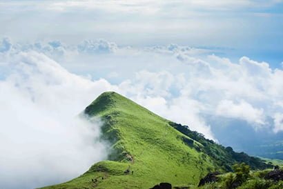Pushpagiri Wildlife Sanctuary 1
