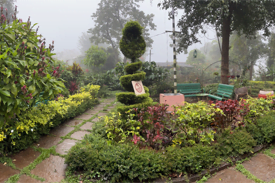 Soil for roots @ Himalayan Range 1