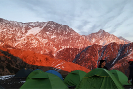Soil for roots @ Himalayan Range