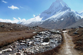 Sun for roots @ Gangotri Glacier